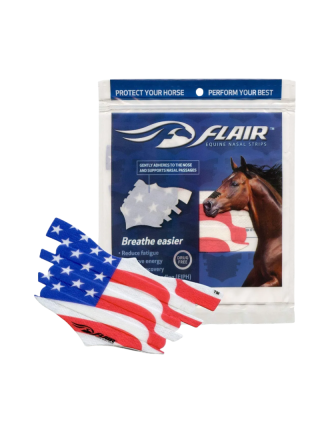 PARCHE NASAL BANDERA 1 PZ