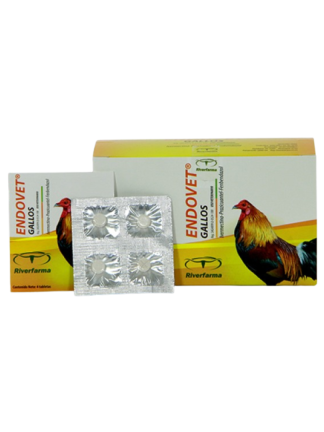 ENDOVET GALLOS 4 TB