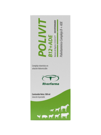 POLIVIT B12+ADE 500 ML