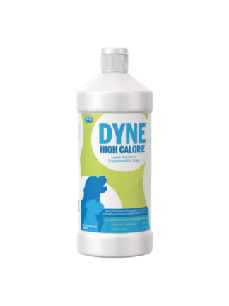 DYNE 16 OZ