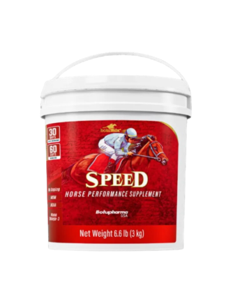 SPEED POWDER 3 KG