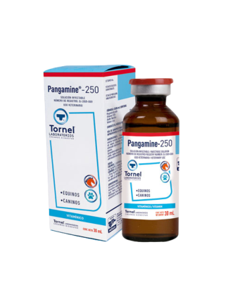 PANGAMINE VIT-B15 30 ML