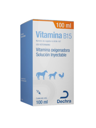 VITAMINA B15 100 ML