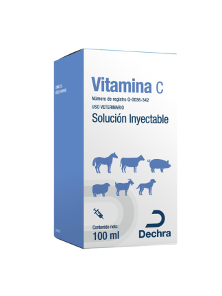 VITAMINA C 100 ML