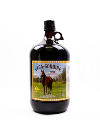 04.- VITA SORBINE GL