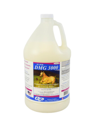 SU-PER DMG 3000 GL