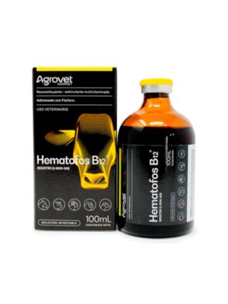 HEMATOFOS B12 100ML