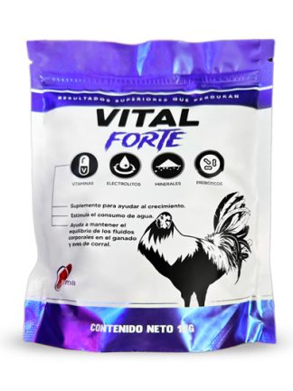VITAL FORTE 1 KG