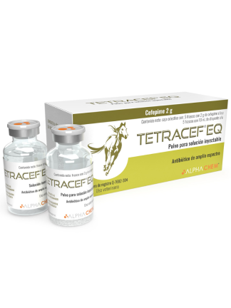 TETRACEF EQ 5 PZ CON 10 ML