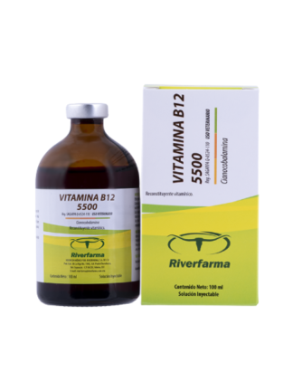 VITAMINA B12 5500 100 ML