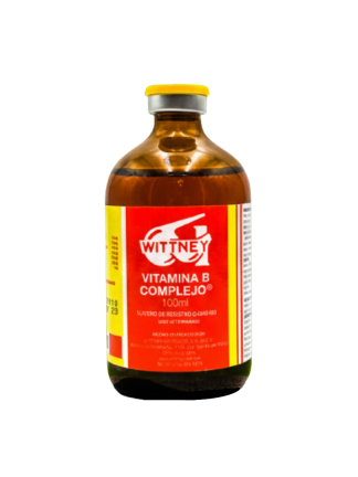 VITAMINA B COMPLEJO 100 ML