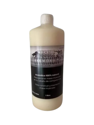 TITANIUM MUSCLE 1 LT